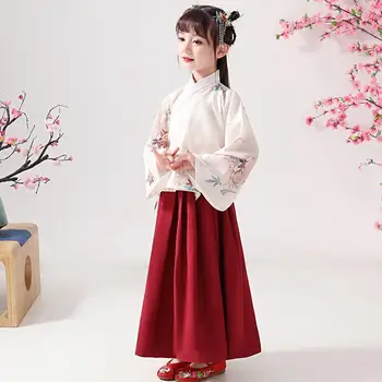 Весенне-осенняя одежда Hanfu для девочек, детская юбка с лошадиной мордой, одежда для выступлений с вышивкой в китайском стиле