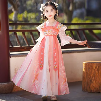 Детская юбка-фея, костюм Танг, Розовое платье с цветочной вышивкой Hanfu для девочек, детское платье для выступлений, Традиционная китайская одежда