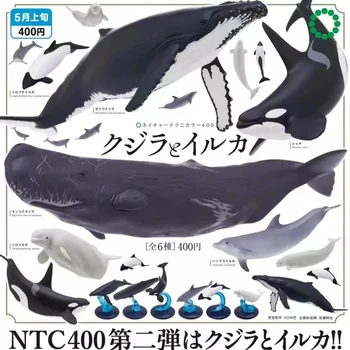 Игрушки-капсулы с биографическими иллюстрациями морских обитателей Дельфины Косатки Горбатые киты Кашалоты Фигурки Модели игрушек